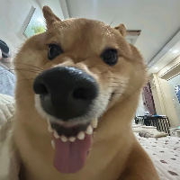 月